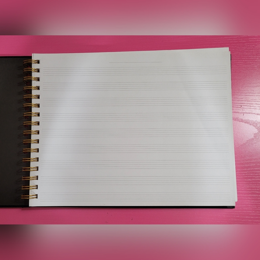 Piccadilly Music Composition Journal Notebook - Picture 3 of 6